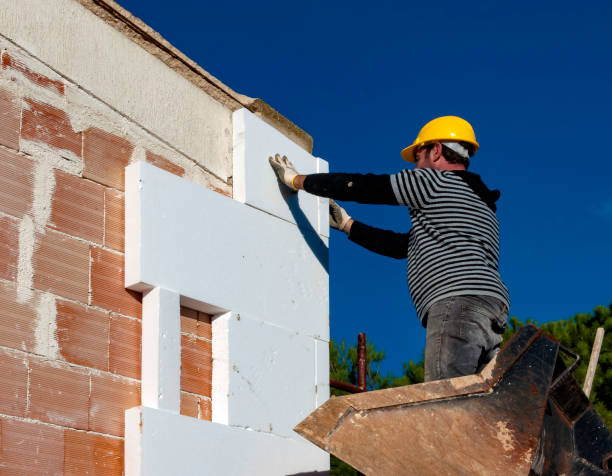 Best Residential Insulation Services  in Superior, NE