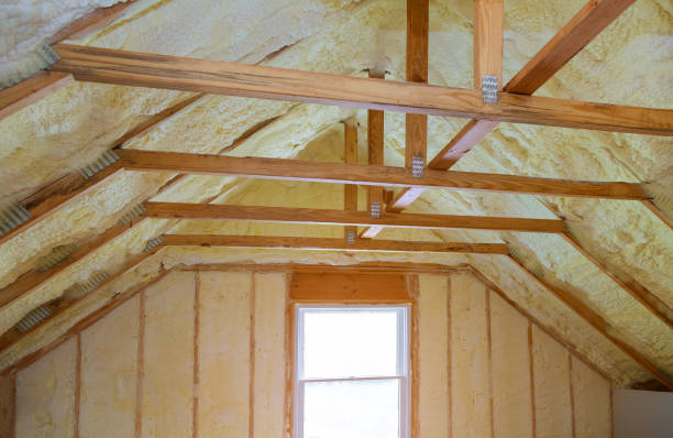 Best Insulation Inspection Services  in Superior, NE