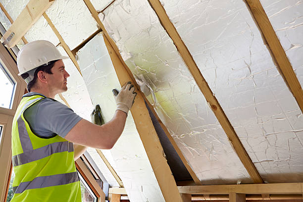 Best Professional Insulation Contractor  in Superior, NE