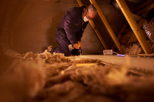 Best Professional Insulation Contractor  in Superior, NE